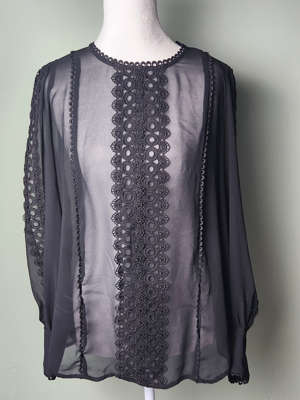 Black Sheer Lace Blouse Whimsigoth Grunge Dark Academia Romantic goth  Top Med